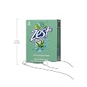 Zest Fresh AloeSoap Family Size 8 Pack - Net weight 32 OZ (8 bars) Beauty & Personal Care Zest