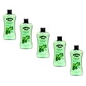Hawaiian Tropic Lime Coolada After Sun Moisturizer 16 oz (Pack of 5) Beauty & Personal Care Hawaiian Tropic