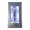 Platinum Eau de Parfum by Bath and Body Works - 3.4 oz/100ml Beauty & Personal Care Bath & Body Works