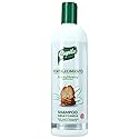 Capilo Sole and Cinnamon Shampoo for Hair Growth and Strengthening - Anti Hair Fall, Thickening, Natural, Organic, No Chemical, Nourishing Shampoo Beauty & Personal Care Capilo