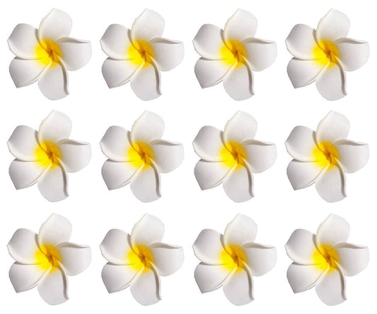 12PCS Women Girls 2.36" Hawaiian Hawaii Bohemia Style Plumeria Foam Flower Hair Clips Decoration Hair Barrette Hairpin For Bridal Wedding Party Beach Beauty & Personal Care Elandy