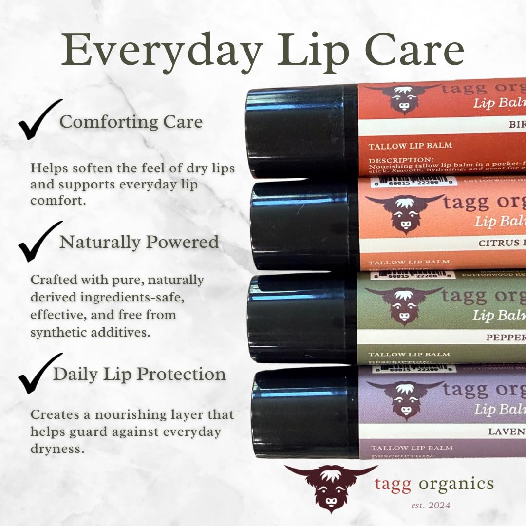 Tallow Lip Balm Variety Pack - Moisturizing Lip Care with Grass-Fed Tallow, Natural Beeswax & Essential Oils, 4 Pack (.15 oz) Beauty and Personal Care TAGG ORGANICS