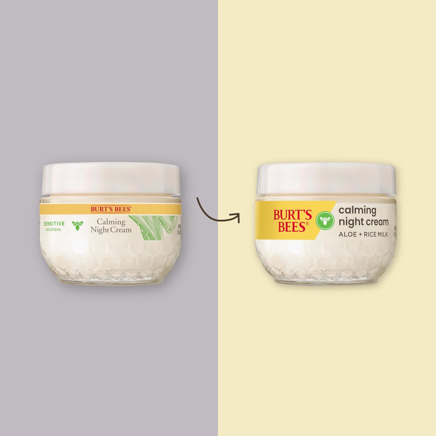 Burt's Bees Calming Night Cream With Aloe and Rice Milk, Face Moisturizer For Sensitive Skin Infuses Skin With Moisture While You Sleep, 98.8 Percent Beauty & Personal Care Burt's Bees