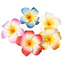 GSHLLO 10 Pcs 7cm Multicolor Hawaiian Hair Clip Beach Foam Flower Headpieces for Wedding Party Accessories Beauty & Personal Care FSSTUD