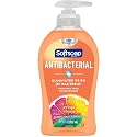SOFT SOAP CRISP 11.25OZ Beauty & Personal Care Softsoap