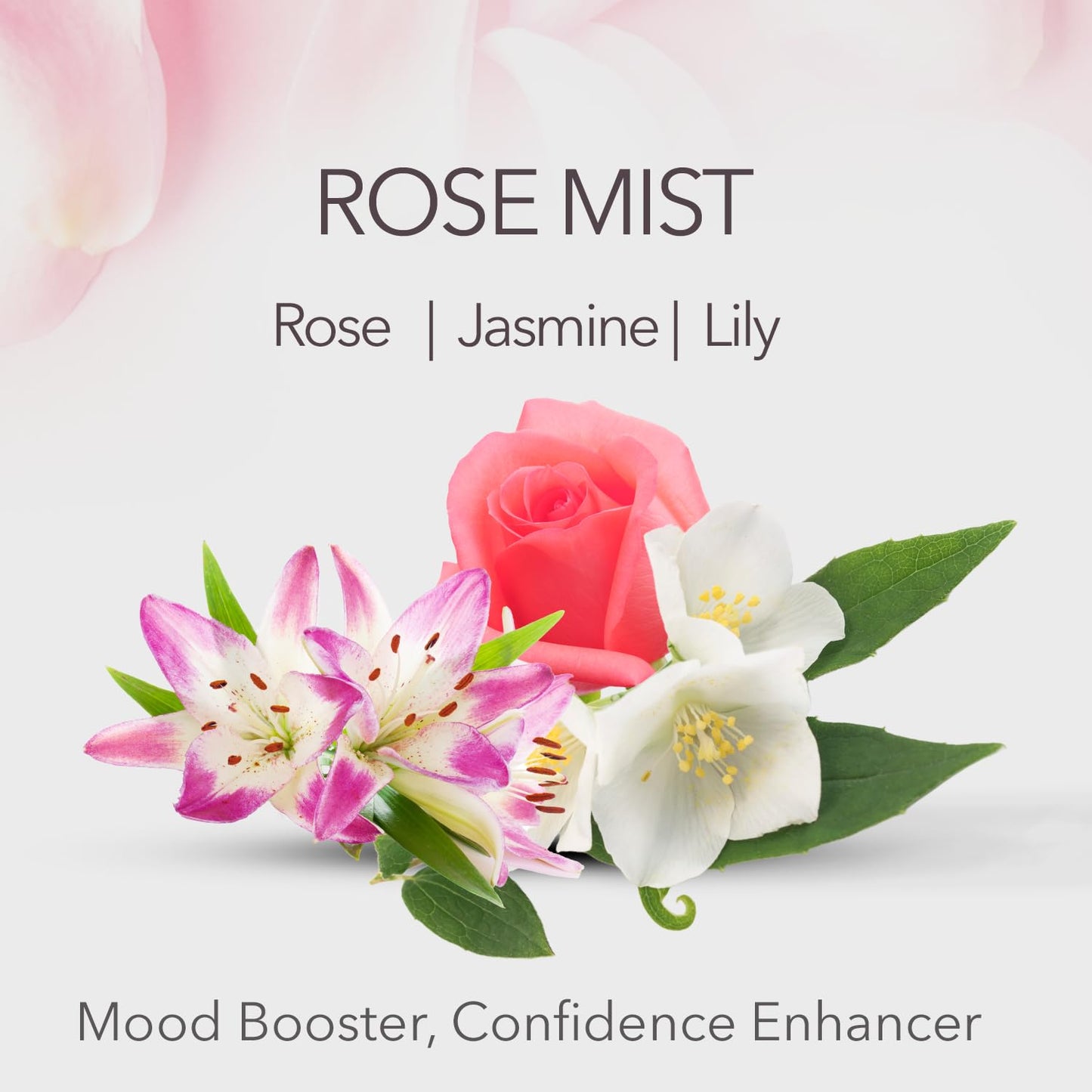 Maja Love Rose Body Spray for Women Light & Refreshing Mist with Rose and Fruity Notes, Long-Lasting Feminine Fragrance, Gentle on Skin, Classic Beauty & Personal Care Maja