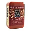 ONE WITH NATURE DEAD SEA BAR SOAP,GRP GVA, 7 OZ Beauty & Personal Care One With Nature