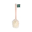 EcoTools 2-in-1 EcoPouf Bath Brush, Loofah Brush for Bath & Shower, with Long Handle & Recycled Netting for Cleansing & Exfoliating, Back Brush Beauty & Personal Care EcoTools