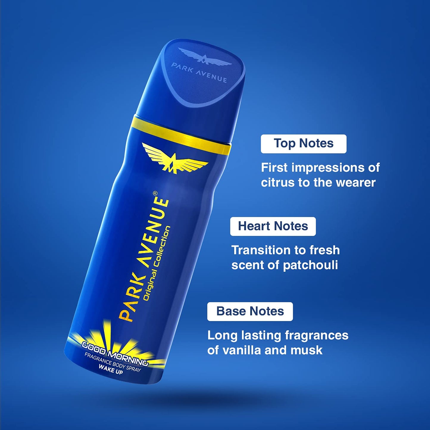 PARK AVENUE Deodorant, Fresh Scent, 100ml Aerosol Beauty and Personal Care PARK AVENUE