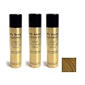 My Secret Correctives Root Touch-Up Spray - 2oz each - 3 Cans - LIGHT BROWN Beauty & Personal Care My Secret Correctives