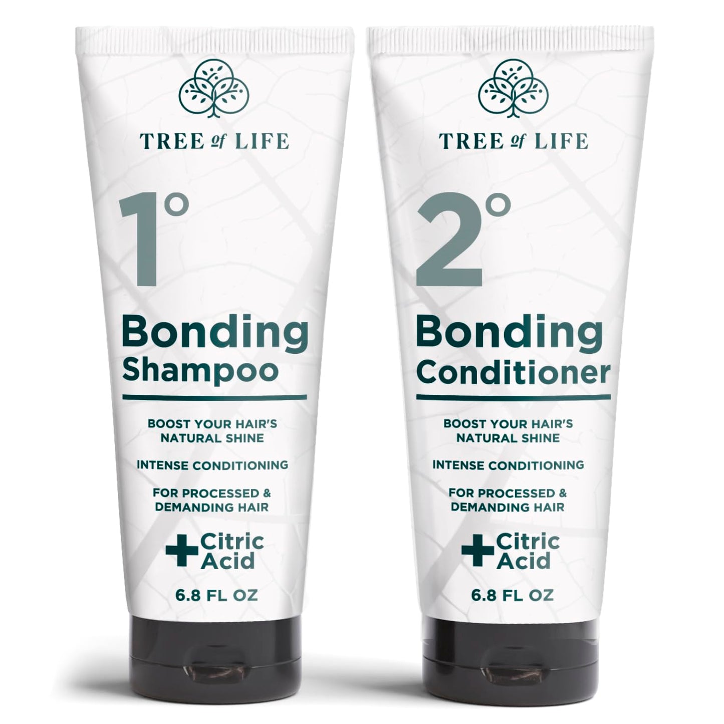 Tree of Life Beauty Bonding Shampoo and Conditioner Set - Hydrating, Strengthening Bond Repair Shampoo and Conditioner with Coconut Oil, Biotin Beauty & Personal Care Tree of Life Beauty
