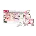 NatureWell Foaming Bath Bomb Kit, 5 Pack, 12.35 Ounces Beauty & Personal Care NATURE WELL