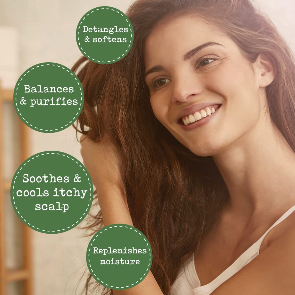 Leave In Conditioner Spray - Tea Tree Scalp Treatment - Anti-Dandruff Treatment, Dry & Itchy Scalp Treatment, Hydrating & Medicated Formula Beauty & Personal Care PHARM TO TABLE