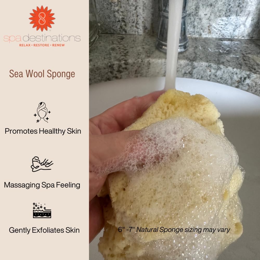 Spa Destinations Natural Sea Wool Sponge 5-6" Natural Renewable Resource Bath & Shower Beauty & Personal Care Spa Destinations