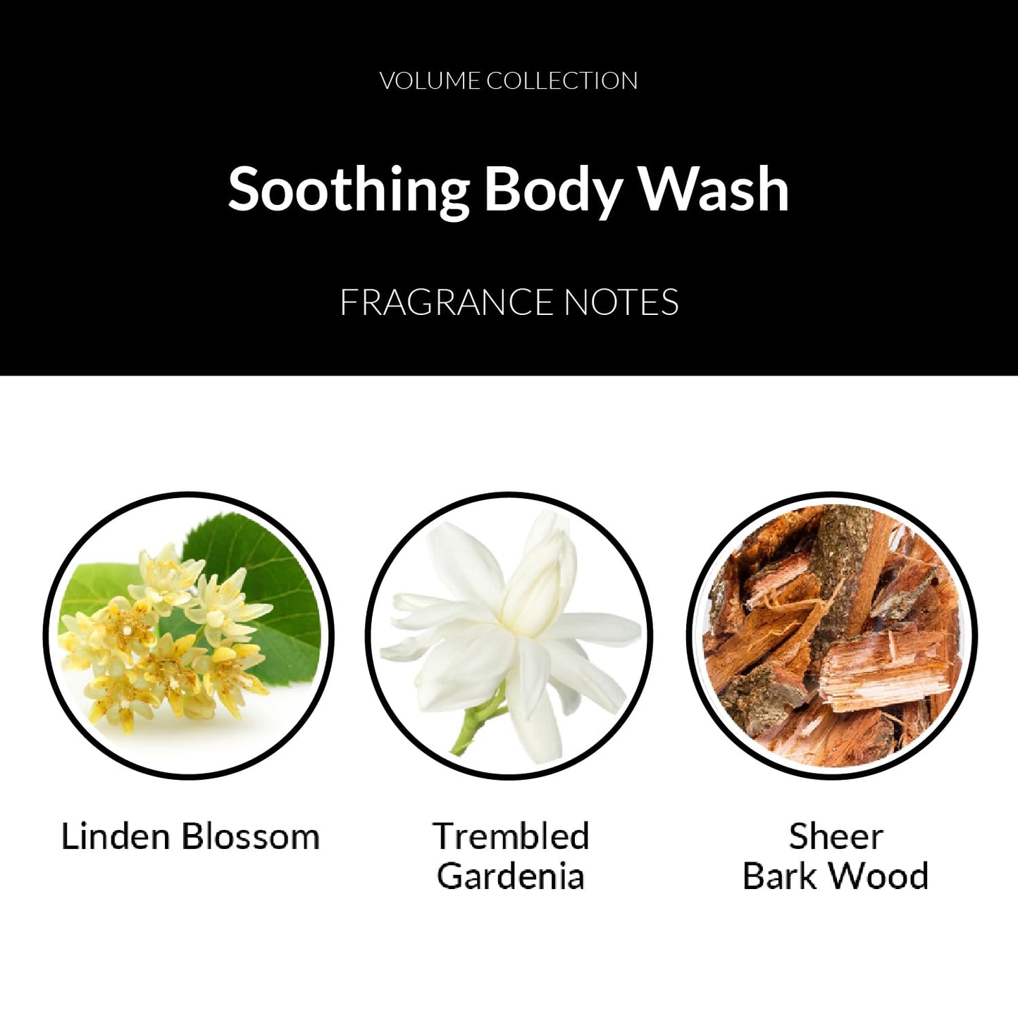 Number 4 Fleurs de Temps Soothing Body Wash. Moisturizing Body Wash with Vitamin E and Oat Extract, 3.4 oz Beauty & Personal Care Number 4