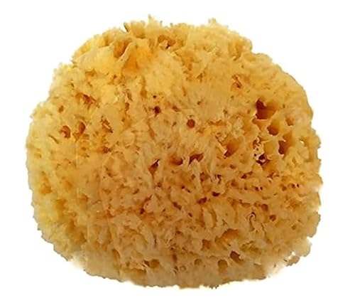 Spa Destinations Natural Sea Wool Sponge 5-6" Natural Renewable Resource Bath & Shower Beauty & Personal Care Spa Destinations