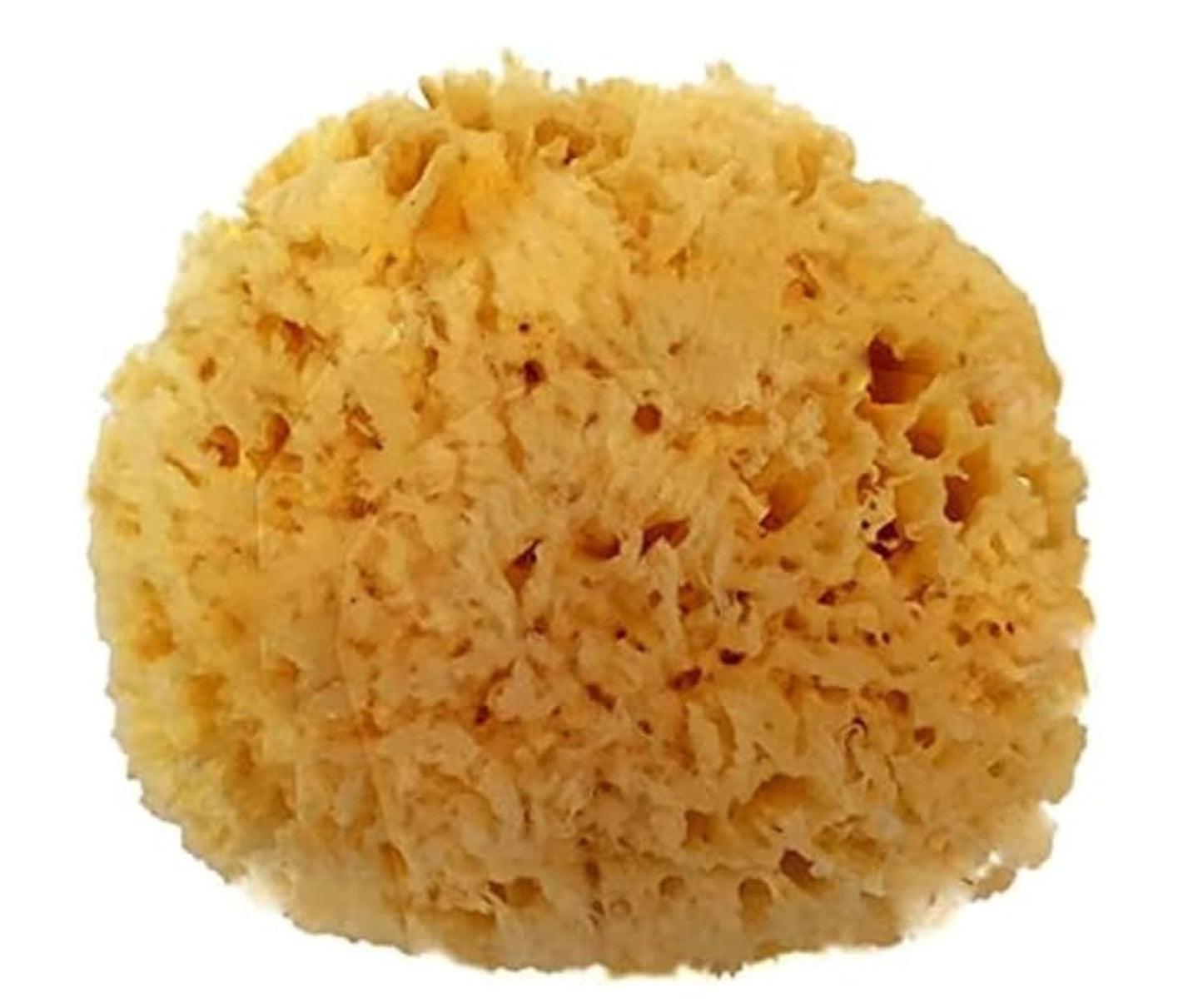 Spa Destinations Natural Sea Wool Sponge 5-6" Natural Renewable Resource Bath & Shower Beauty & Personal Care Spa Destinations
