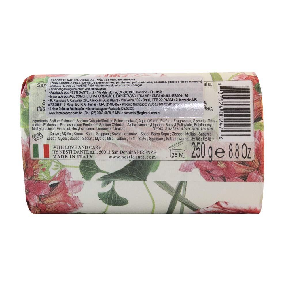 Nesti Dante Dolce Vivere Fine Natural Soap, Pisa, 8.8 Ounce Beauty & Personal Care Nesti Dante