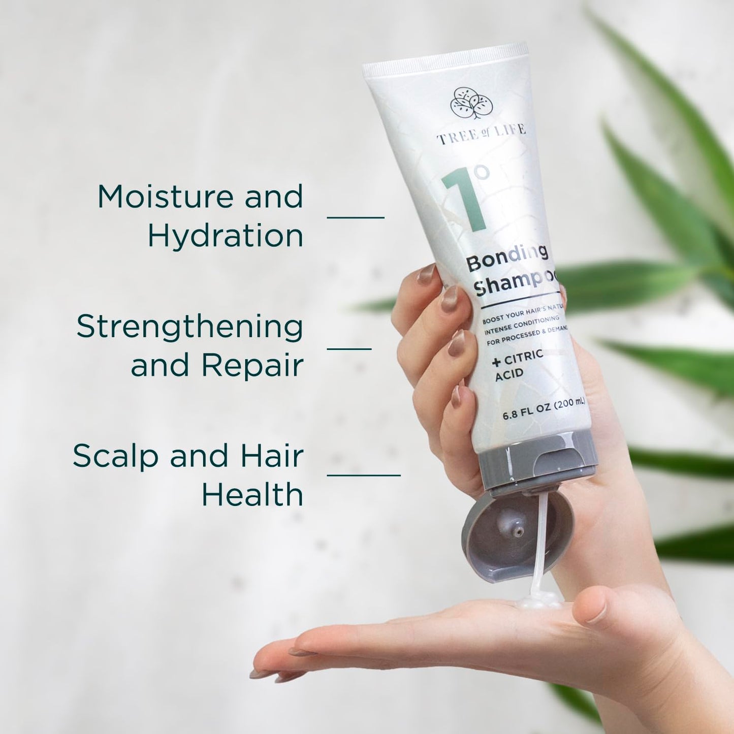 Tree of Life Beauty Bonding Shampoo and Conditioner Set - Hydrating, Strengthening Bond Repair Shampoo and Conditioner with Coconut Oil, Biotin Beauty & Personal Care Tree of Life Beauty