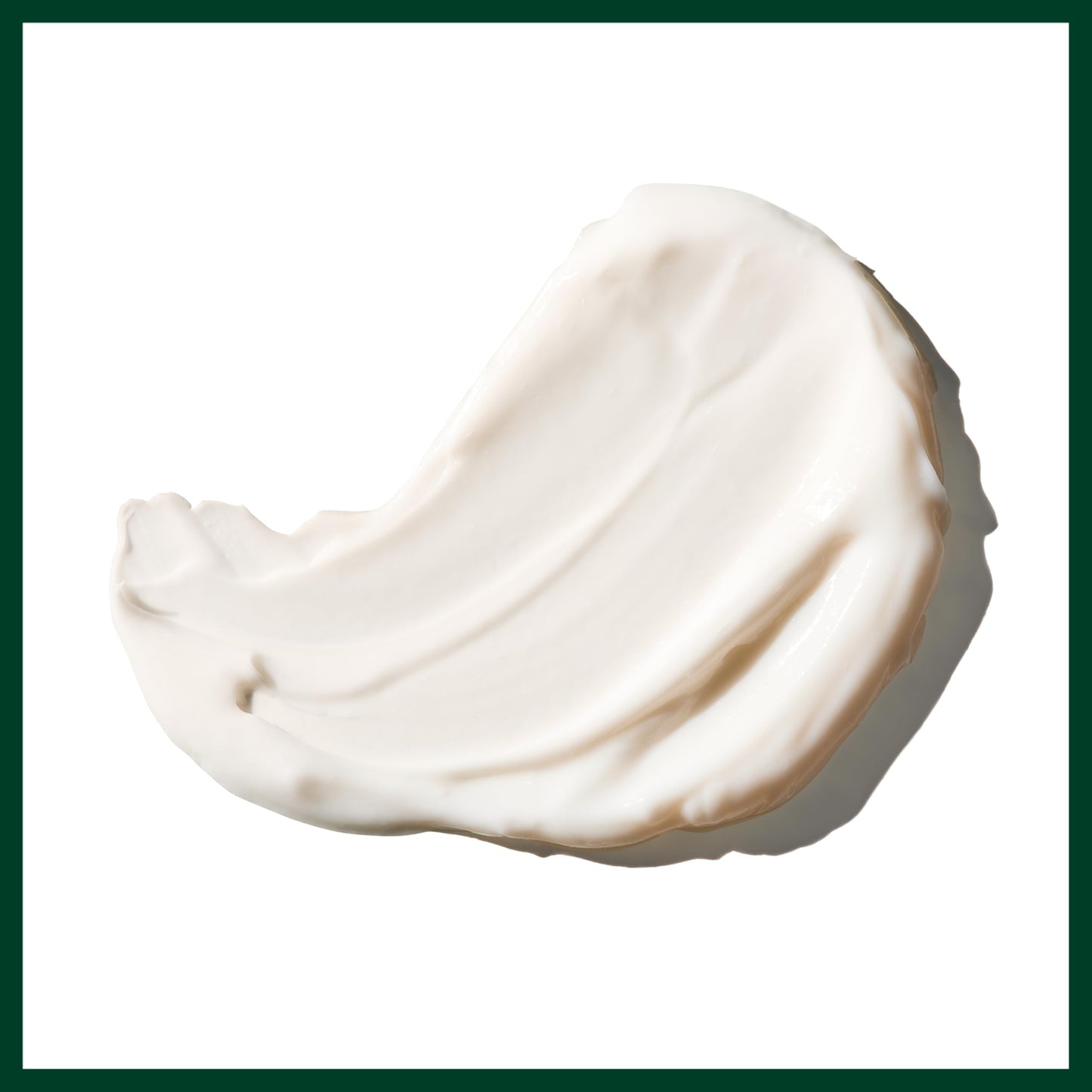 Aveda Botanical Kinetics Intense Hydrating Rich Creme | Face Cream for Dry to Very Dry Skin | with Cupuaçu Butter, 1.7 Fl Oz Beauty & Personal Care Aveda
