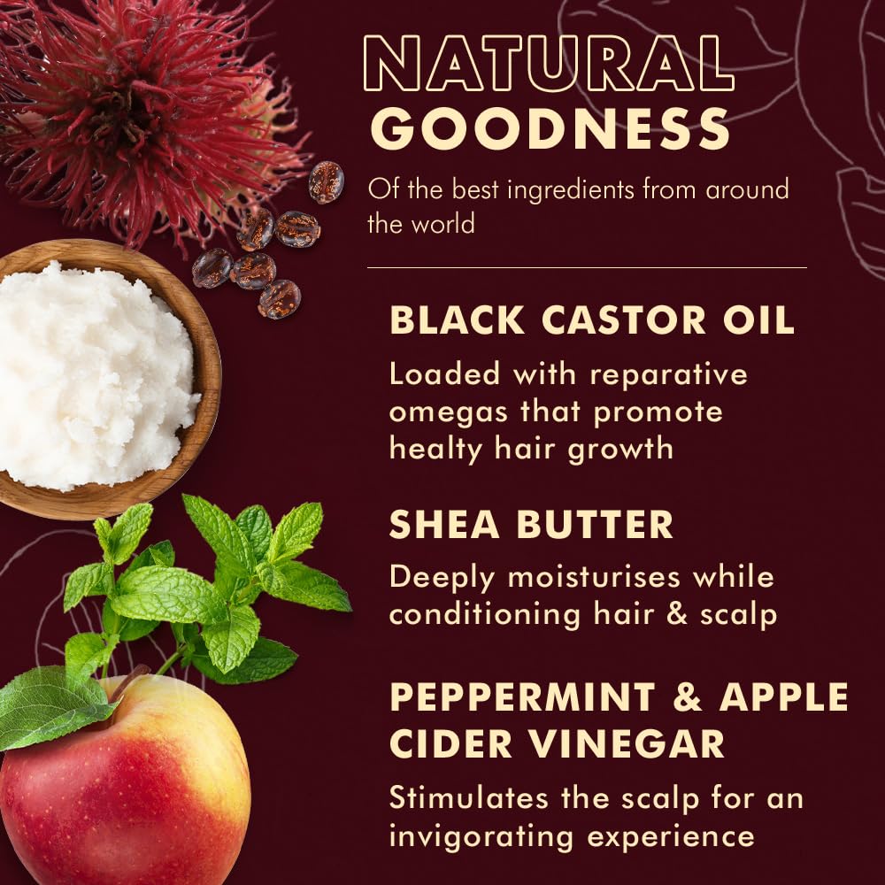 Shea Moisture Jamaican Black Castor Oil Strengthen & Restore Smoothie Cream for Unisex, 12 Ounce Beauty & Personal Care SheaMoisture
