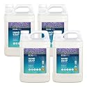 Earth Friendly Products PL9665/04 Lavender Hand Soap, 1 Gallon - Case of 4 Beauty & Personal Care Earth Friendly Products