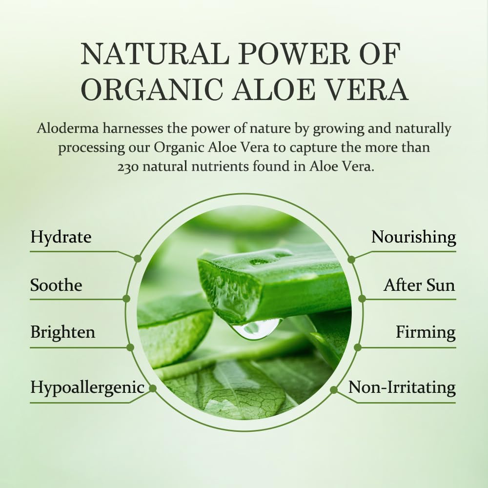 Aloderma Aloe Brightening Serum for Face Made with 65% Organic Aloe Vera + Niacinamide & Vitamin C for Bright, Luminous Skin - Natural Serum Beauty & Personal Care Aloderma