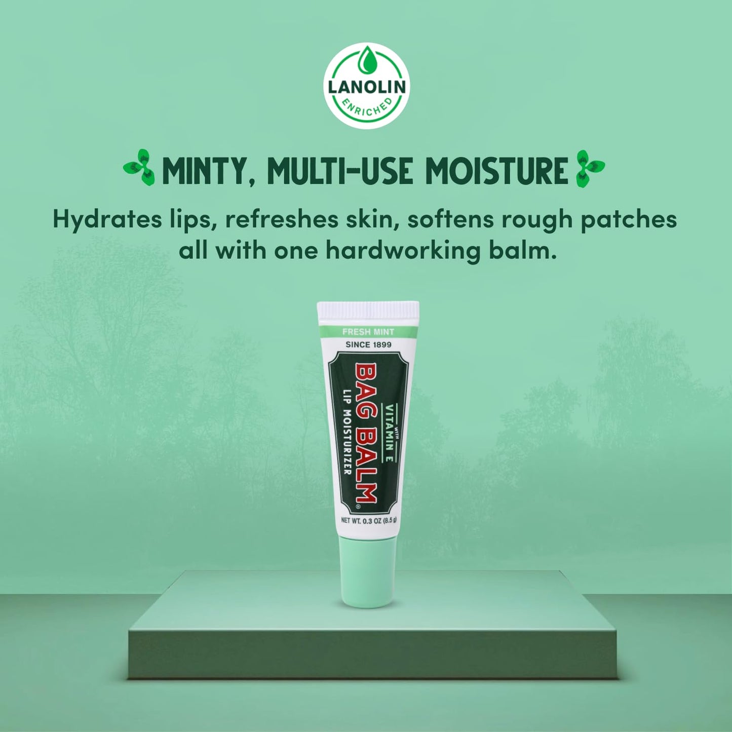 Vermont's Original Bag Balm Moisturizing Lip Balm with Vitamin E - Pack of 4 0.3oz Tubes (4 Pack, Fresh Mint) Beauty and Personal Care Bag Balm