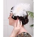 Aimimier 1920s Flapper White Feather Headpiece Crystal Pendant Hair Clip Roaring 20s Feather Accessories Masquerade Hair Jewelry for Women Beauty & Personal Care Aimimier