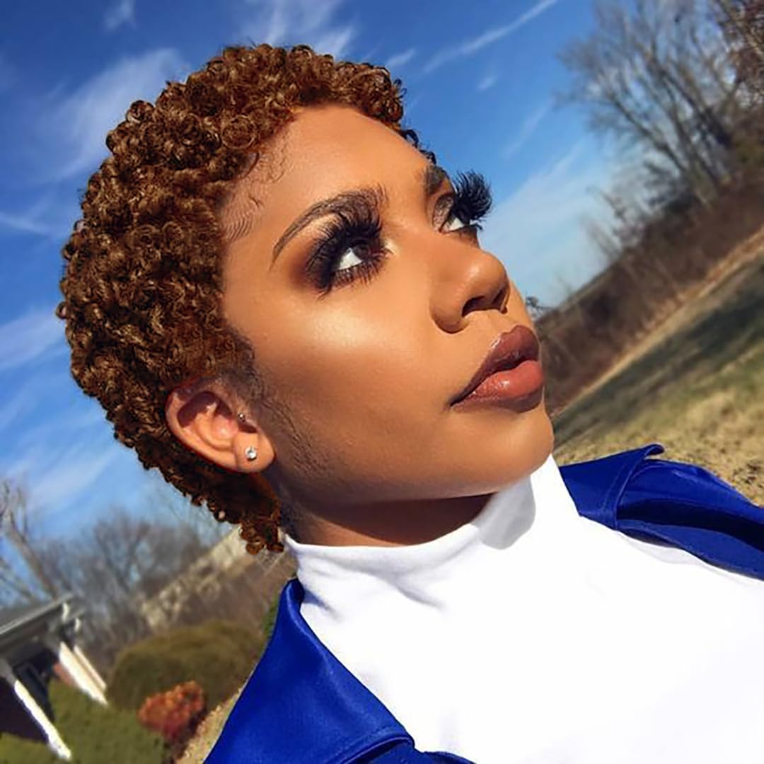 Naseily Short Afro Kinky Curly Synthetic Wigs for Black Women African American Short Hair Wigs 4 Colors Availble (Nas-9641-30#)