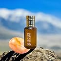 SCUS Perfumes Amber Fragrance 12 ML (0.41 fl oz) Beauty & Personal Care SCUS Perfumes