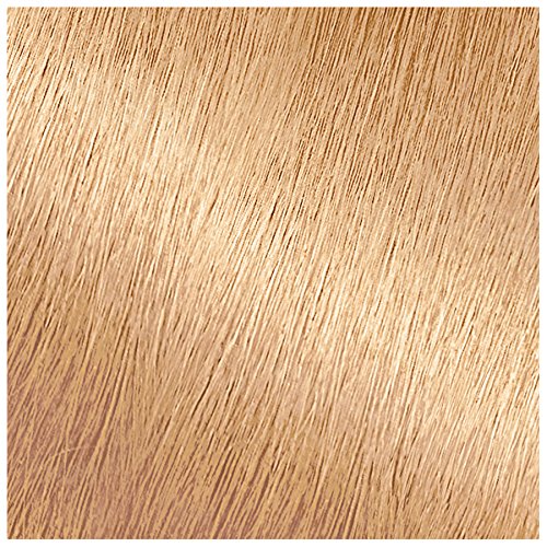 Garnier Nutrisse Nourishing Hair Color Creme, 92 Light Buttery Blonde (Packaging May Vary)