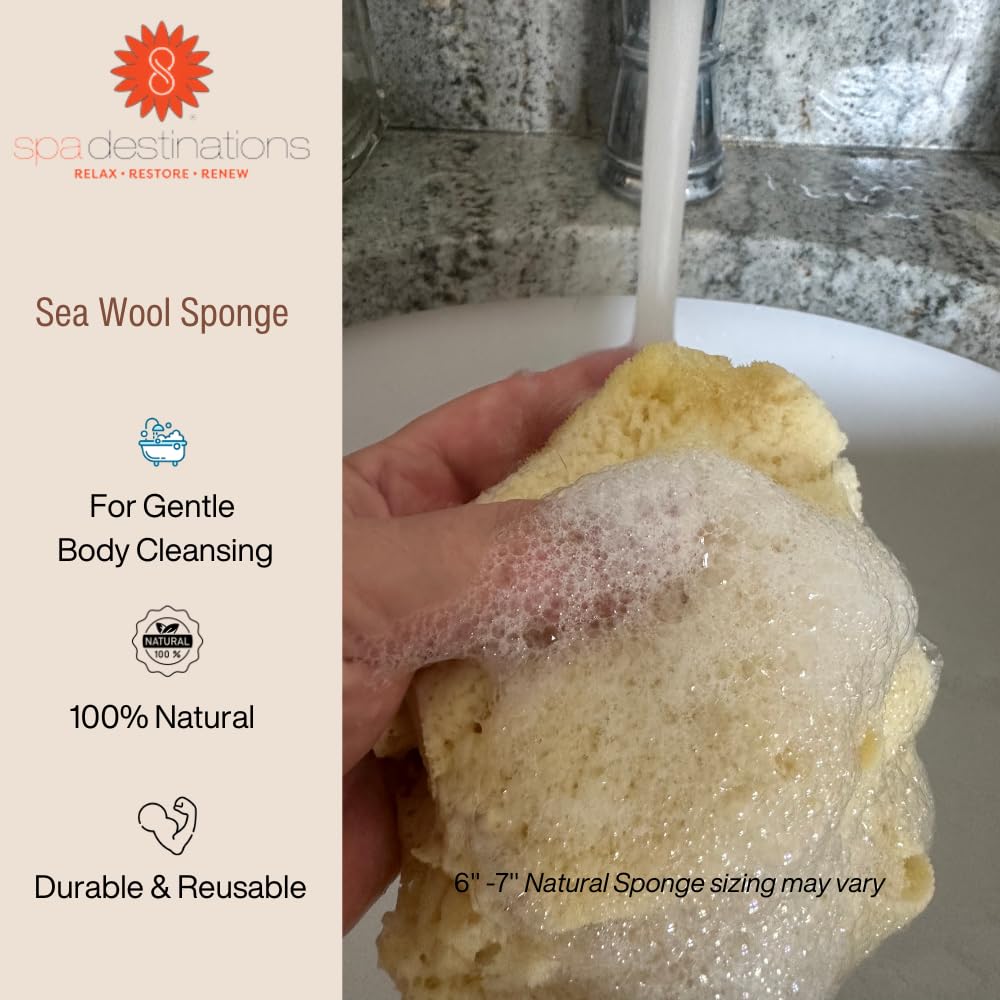 Natural Sea Wool Sponge 4-5" by Spa Destinations ® Amazing Natural Renewable Resource Creating The in Perfect Bath and Shower Experience Beauty and Personal Care Spa Destinations