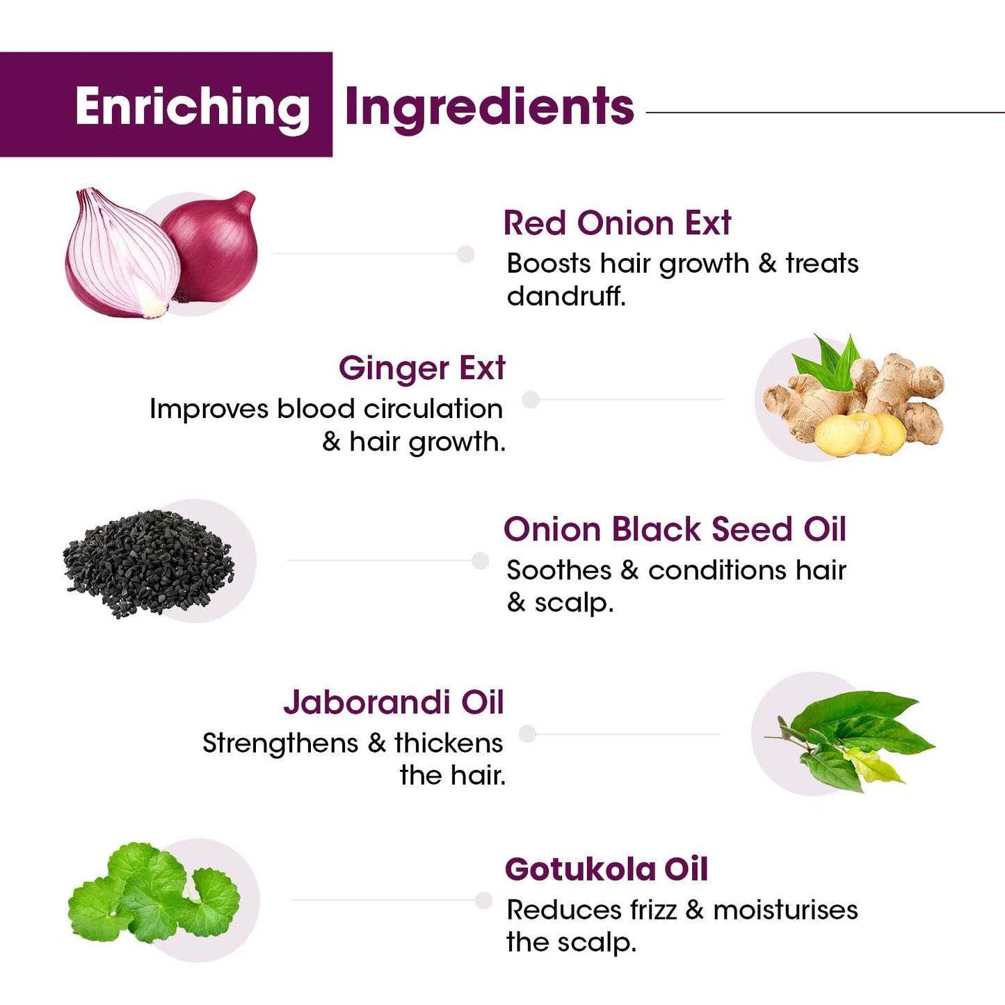 TAC - The Ayurveda Co. Onion with Black Seed and Biotin Hair Nourishment Oil for Hairfall Control 100ml Beauty & Personal Care TAC - The Ayurveda Co.