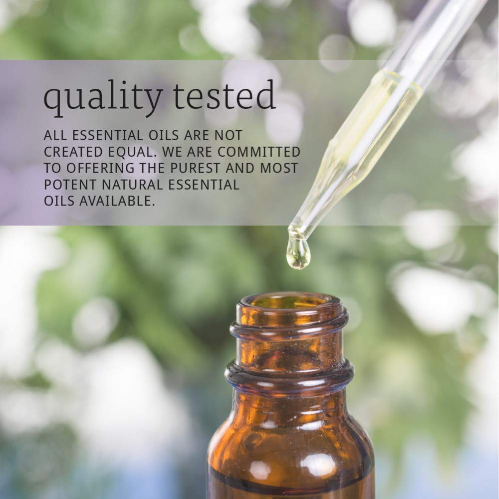 Now Foods Tea Tree Oil, 4 Ounces, Pack of 3 Beauty & Personal Care NOW Foods