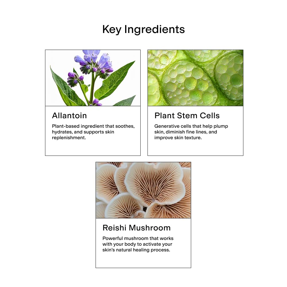 CLEARSTEM - CELLRENEW - Collagen Stem Cell Serum - Acne + Youthful Skin Face Serum - Hyaluronic Acid, Reishi, Aloe Vera - Facial Skin Care Products Beauty & Personal Care CLEARSTEM