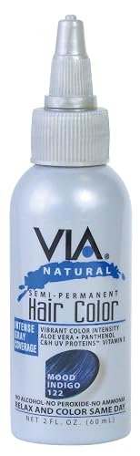 Via Natural Semi Permanent Hair Color 2oz 1PC (#122 - Mood Indigo) Beauty & Personal Care Via Natural