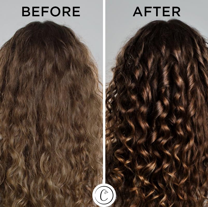 Controlled Chaos Leave-In Conditioner Spray- Anti Frizz Hair Detangler Spray for Dry Damaged Hair with Natural Watermelon & Sunflower Seed Oil & Honey Beauty & Personal Care Controlled Chaos