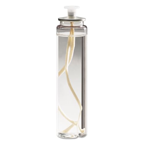 Soft Light Liquid Wax, 74g, Clear, 29 Hour, 36/Carton Beauty & Personal Care Sterno