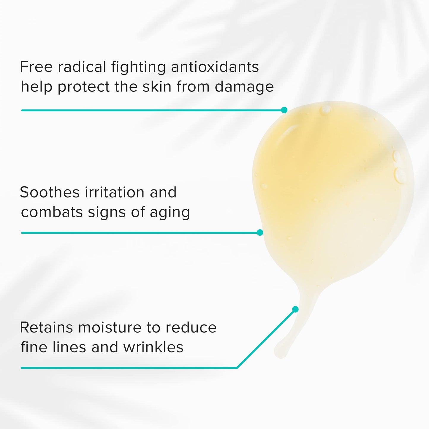 ClarityRx Take Care Daily Antioxidant Red Tea Face Serum, Natural Plant-Based Hydrating & Anti-Aging Facial Treatment for Environmental Protection (1 Beauty & Personal Care ClarityRx