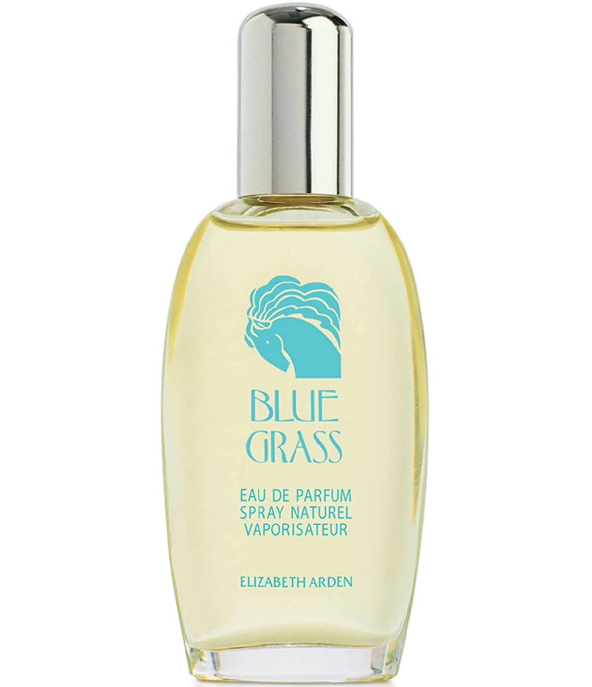 Elizabeth Arden (elk2i Blue Grass Eau De Parfum Spray 3oz/ 100 Ml for Women, 3fl Oz Beauty & Personal Care Elizabeth Arden