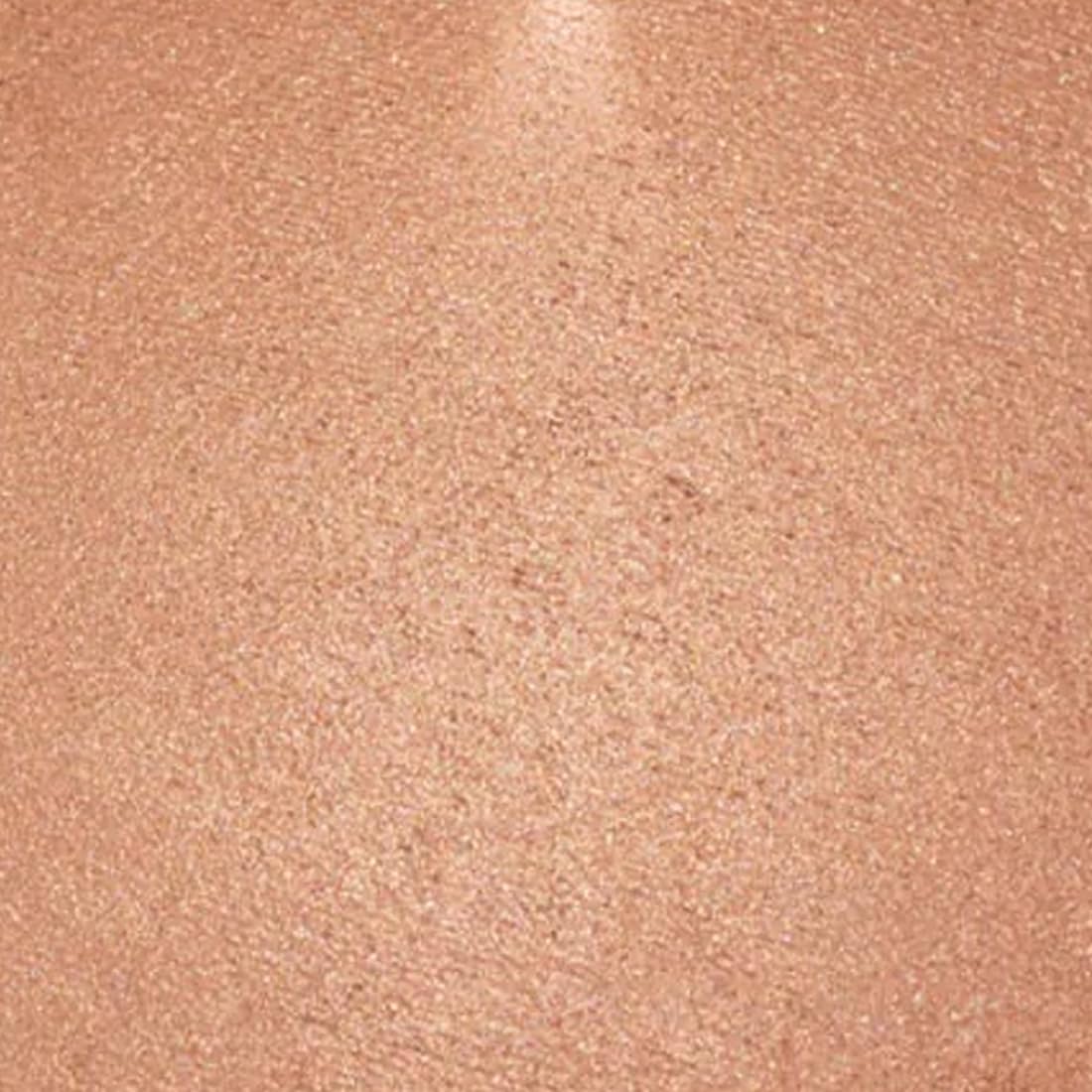 Palladio Baked Bronzer, Pacific Tan, 0.35 Ounce (Pack of 1) Beauty & Personal Care Palladio