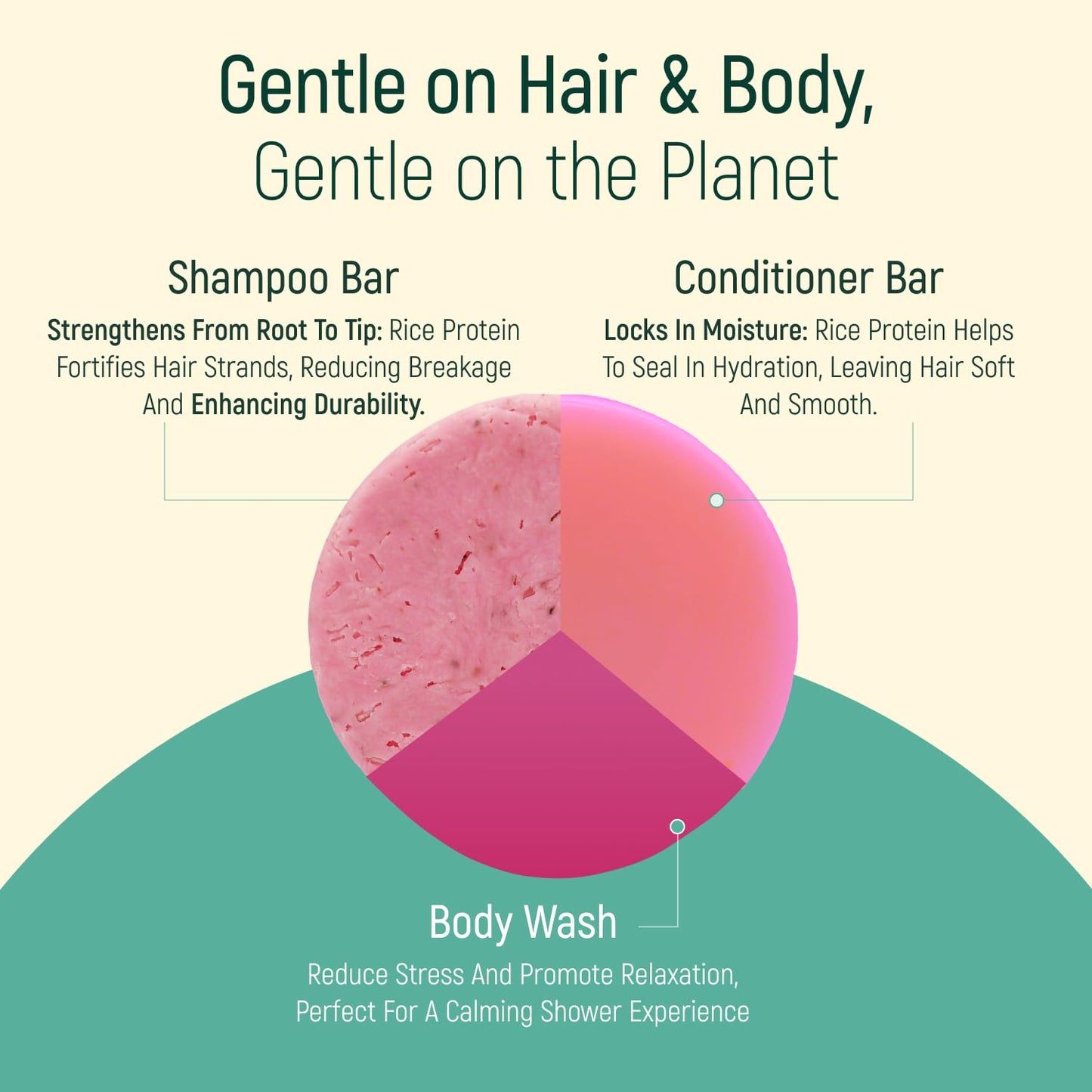 Solid Rice Protein Shampoo, Conditioner and Body Wash Bundle | Shampoo, Conditioner & Wash Bars For Hair and Body w/All Natural Plant Based Essential Beauty & Personal Care BAMBOEARTH