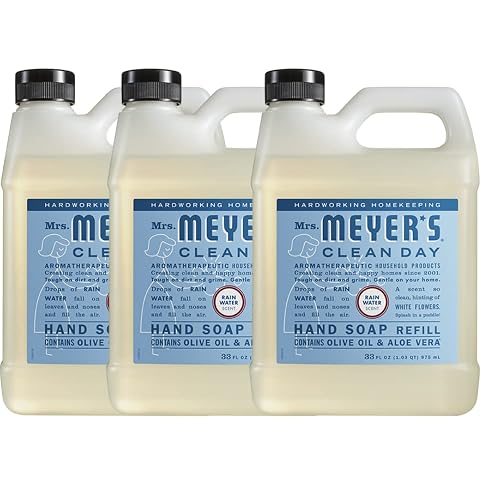 MRS. MEYER'S CLEAN DAY Hand Soap Refill, Rain Water, 33 Fl Oz (Pack of 3) Beauty & Personal Care Mrs. Meyer's Clean Day