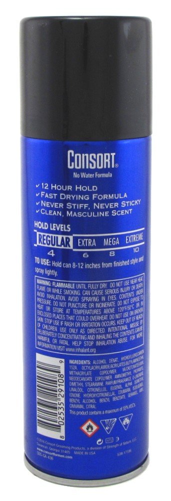Consort Hair Spray 8.3 Ounce Regular Hold Aerosol (235ml) (2 Pack) Beauty & Personal Care Consort