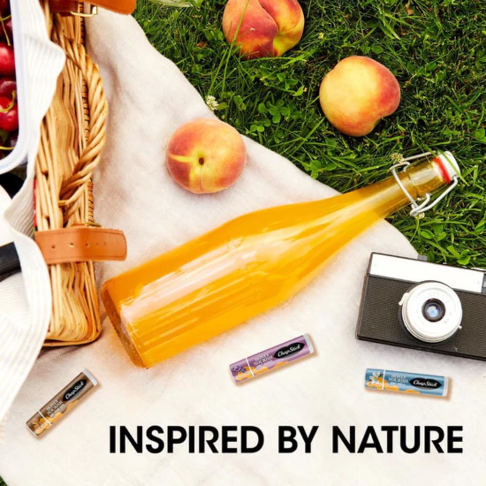 ChapStick Honey Nourish: Honey Vanilla Beauty & Personal Care ChapStick