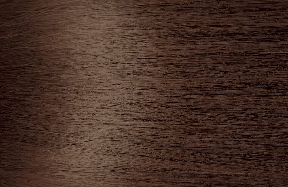 Bigen HC4 Hot Chocolate Designer Series Semi-Permanent Hair Color (pack of 3) Beauty & Personal Care Bigen