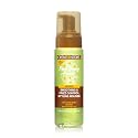 Creme of Nature Pure Honey Define Hair Food Smoothing & Frizz Control Styling Mousse, Flexible Hold & Shine for Curls, With Honey, Avocado Oil Beauty & Personal Care Creme of Nature