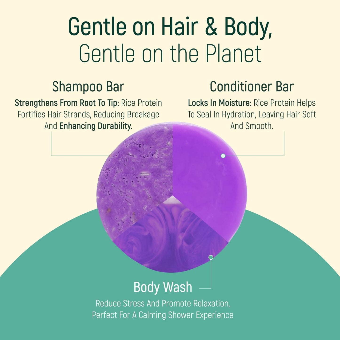 Solid Rice Protein Shampoo, Conditioner and Body Wash Bundle | Shampoo, Conditioner & Wash Bars For Hair and Body w/All Natural Plant Based Essential Beauty & Personal Care BAMBOEARTH