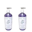 Crabtree & Evelyn Nantucket Briar Hand Wash 16.9 fl oz Pump Bottles, Pack of 2 (2) Beauty & Personal Care Crabtree & Evelyn